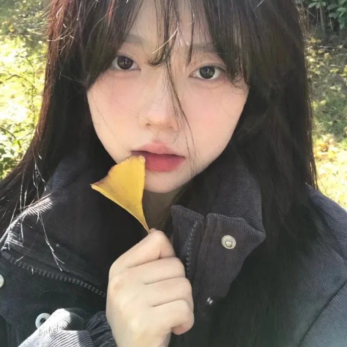 芭蕾彗星尼真斯基